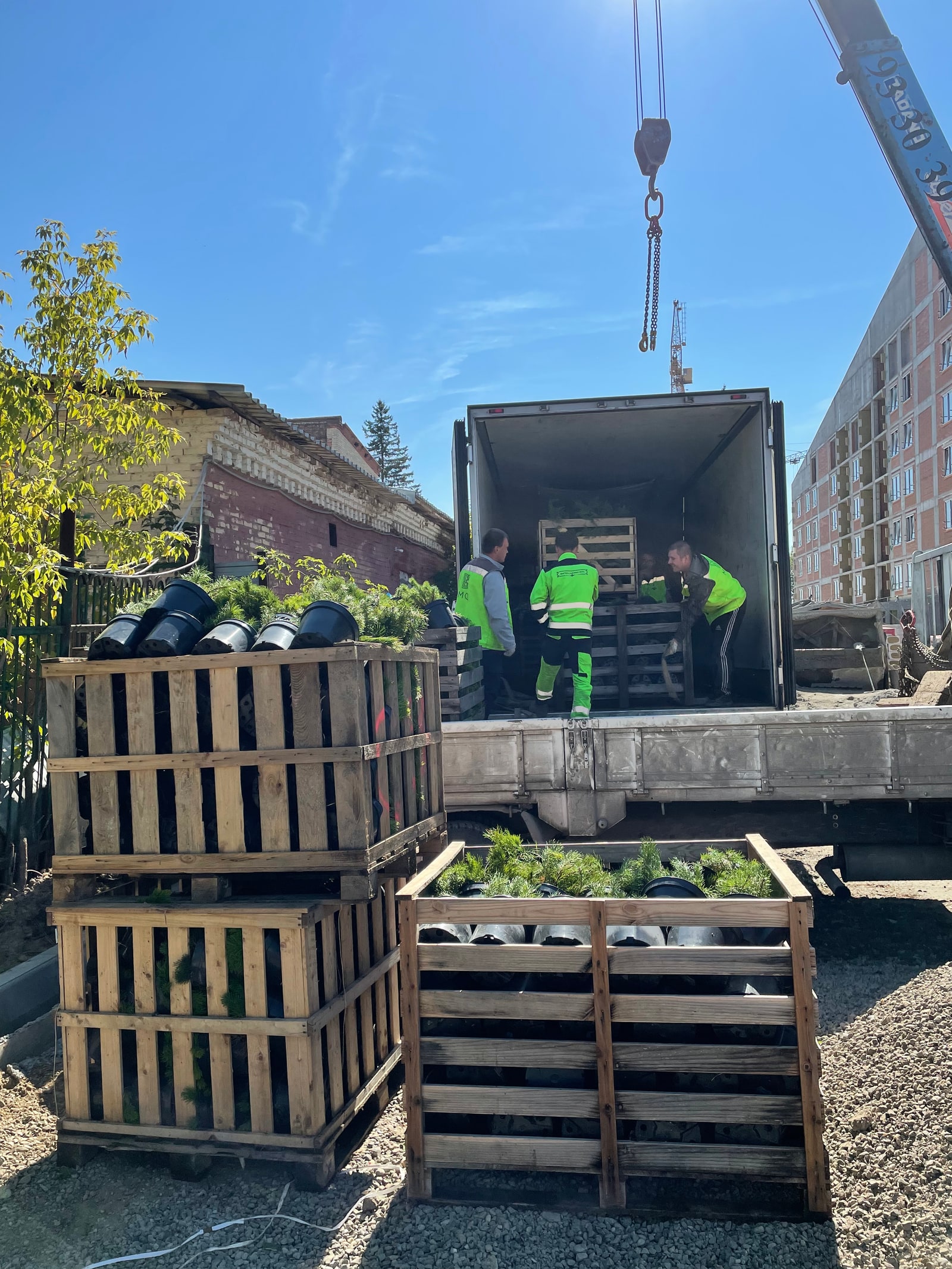 Site delivery — planting installation and construction administration